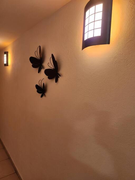 Apartmán Departamento De Lujo. Seguridad 24. Playa A Pasos. Acapulco Exteriér fotografie